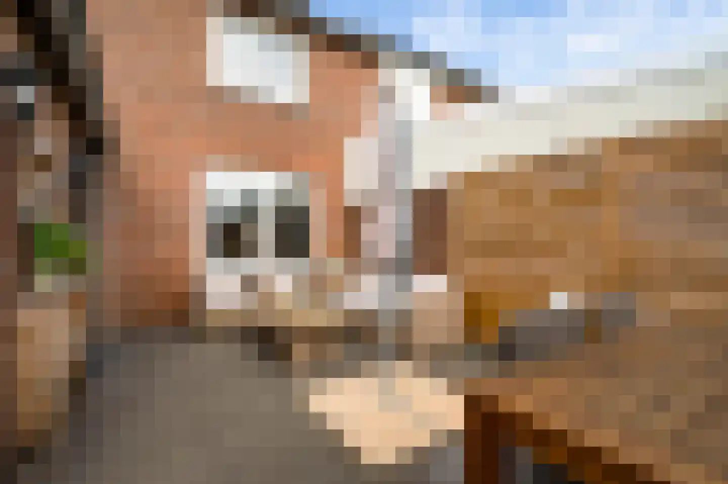 St.Andreasstraat 8 Melick thumbnail 26