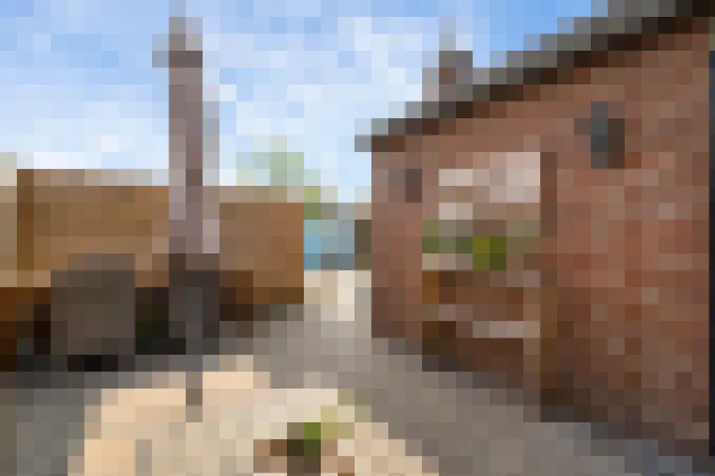 St.Andreasstraat 8 Melick thumbnail 27