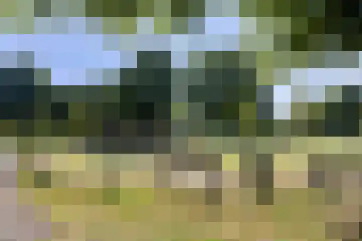 St. Annabaai 5 Capelle aan den IJssel thumbnail 27