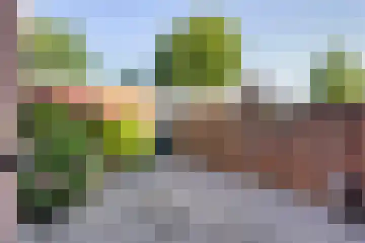 St. Annabaai 5 Capelle aan den IJssel thumbnail 4