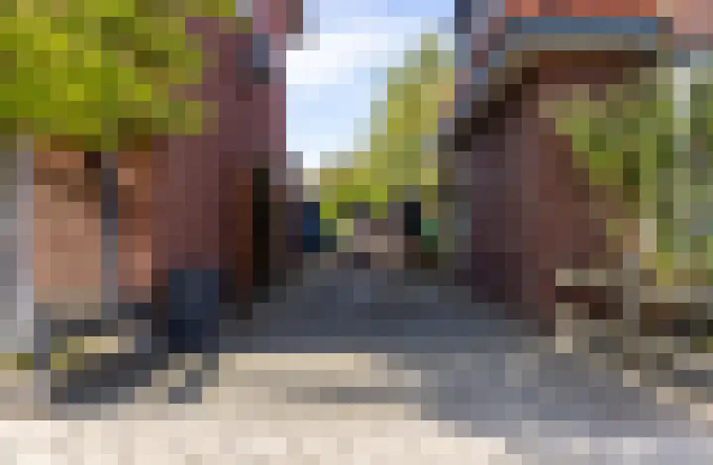 St Annabrinkstraat 10 Delden thumbnail 4