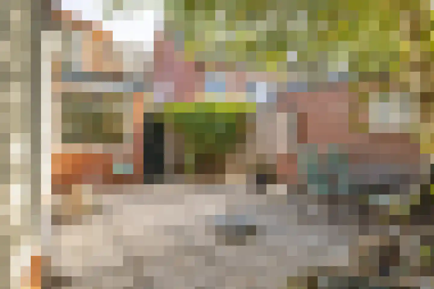 St Annabrinkstraat 10 Delden thumbnail 57