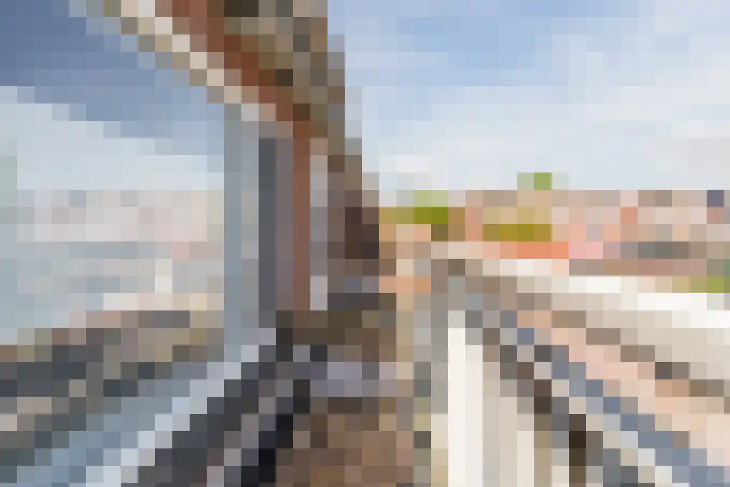 St. Annakapelstraat 26 Culemborg thumbnail 16