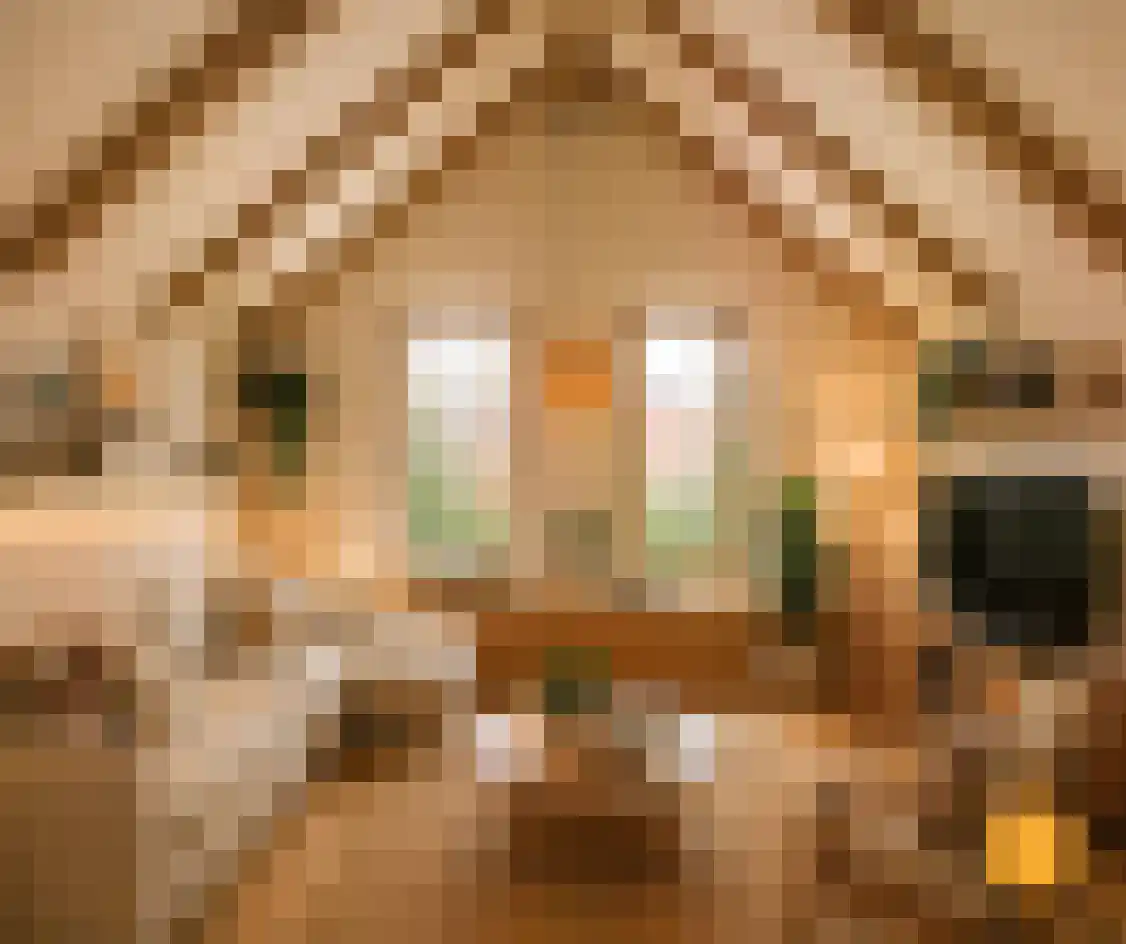 St. Annastraat 1 A Naarden thumbnail 13