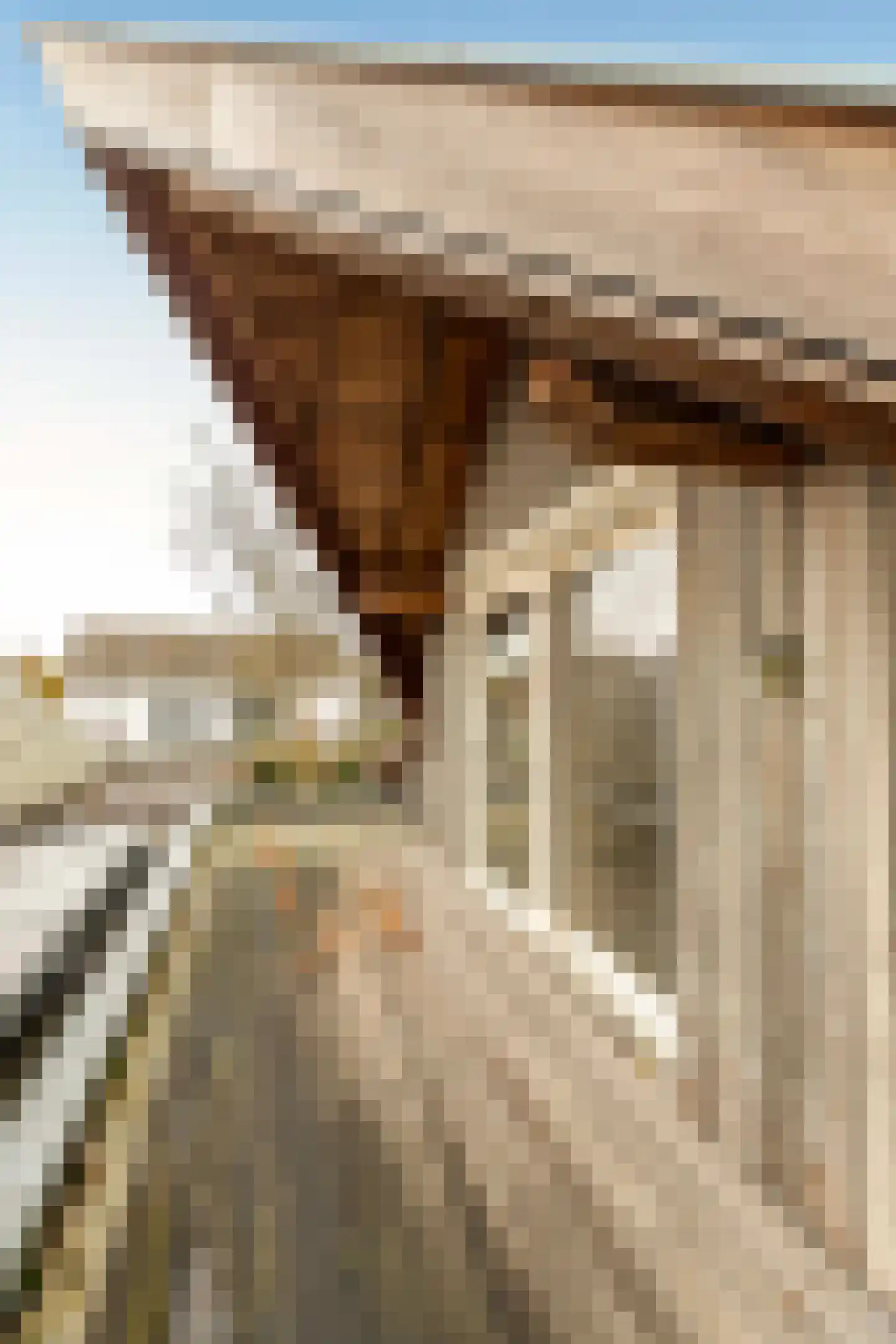 St.-Annastraat 1 Gemert thumbnail 14