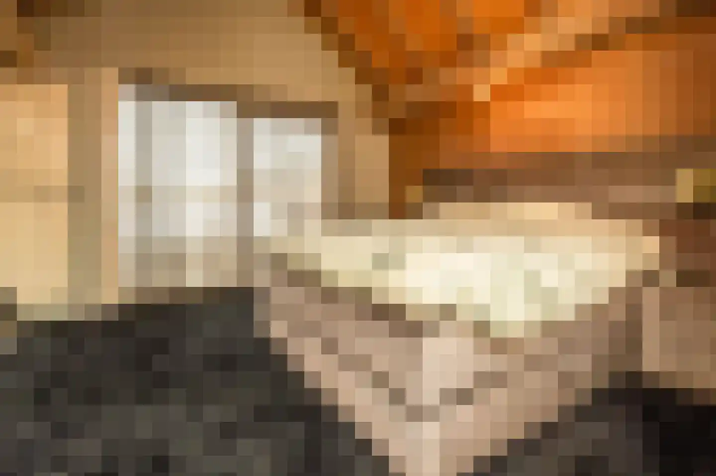 St.-Annastraat 1 Gemert thumbnail 15