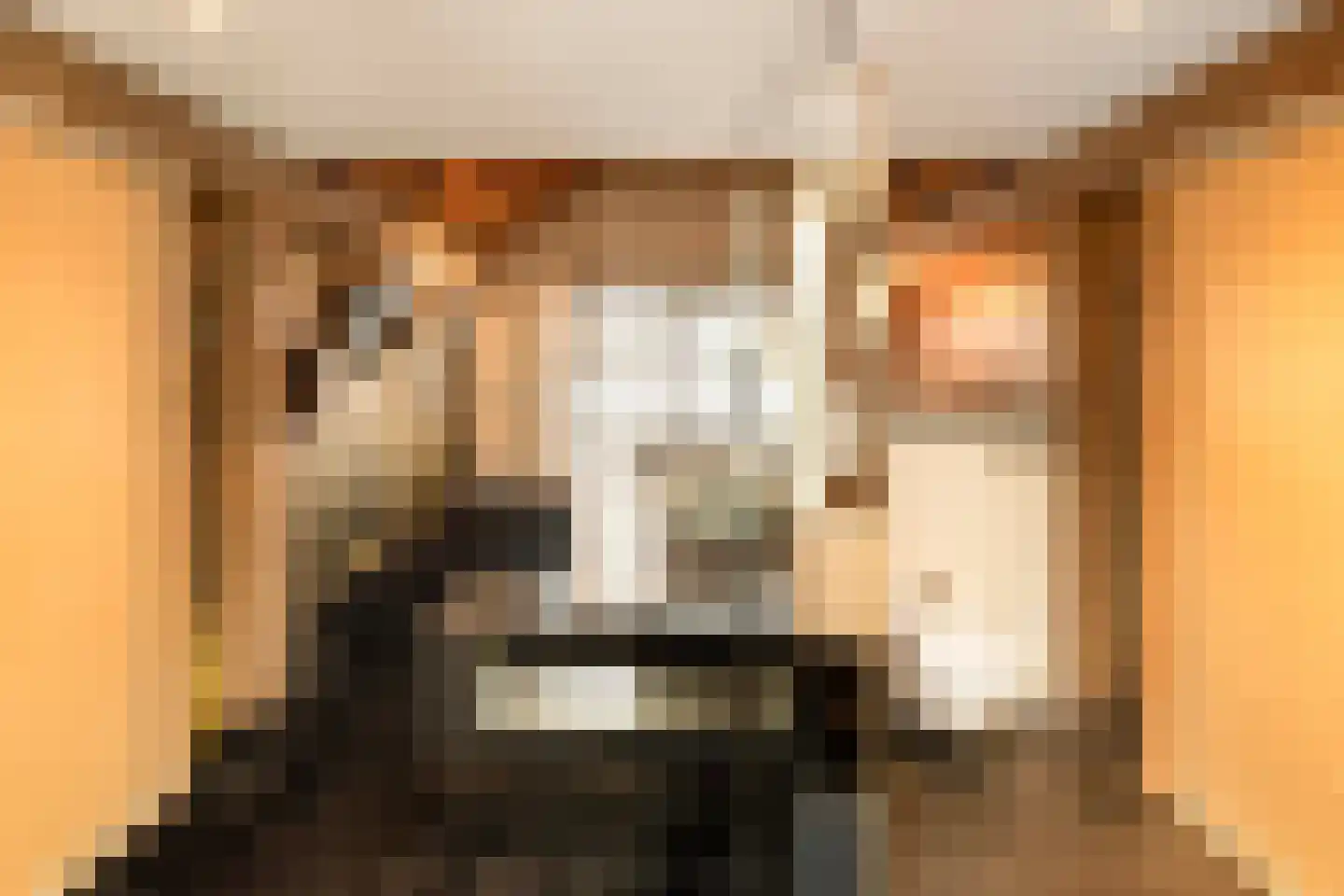 St.-Annastraat 1 Gemert thumbnail 16