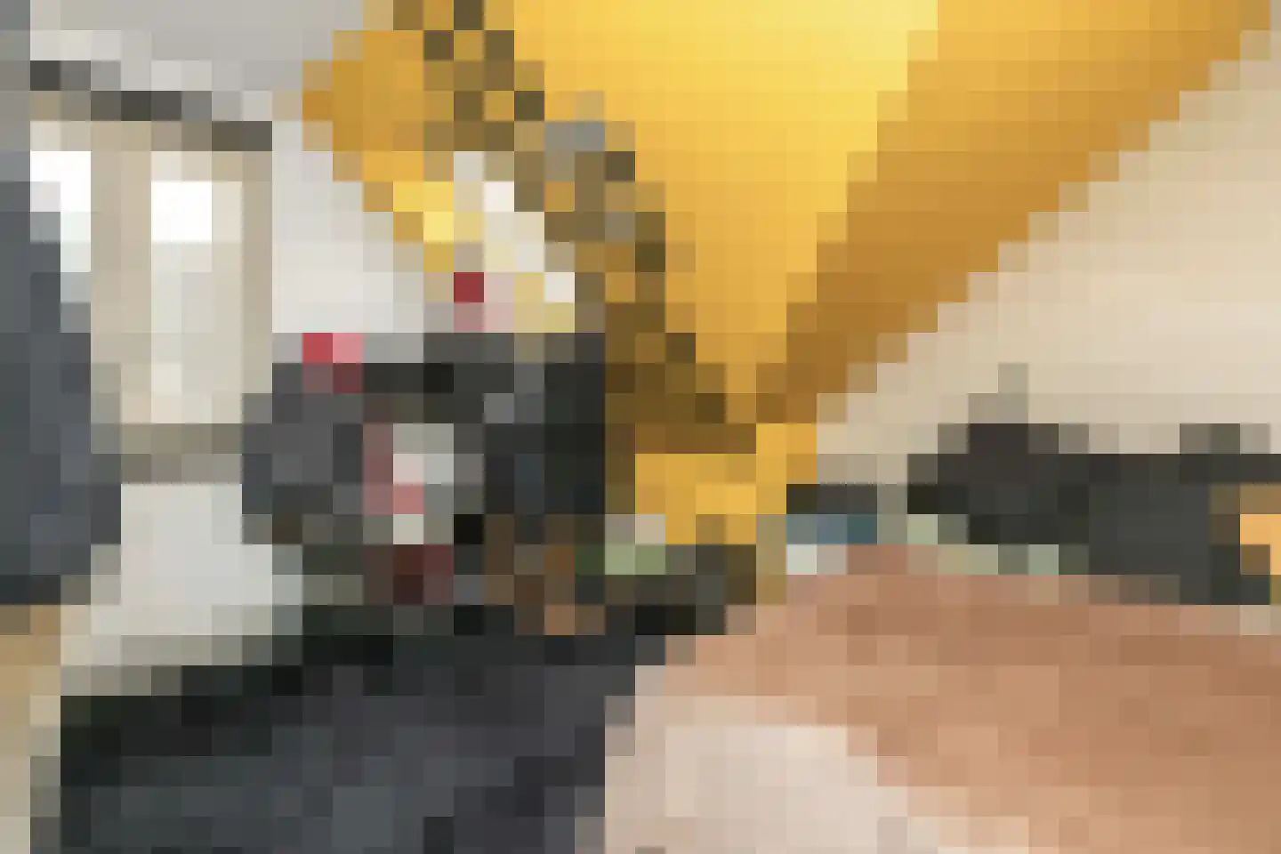 St.-Annastraat 1 Gemert thumbnail 22