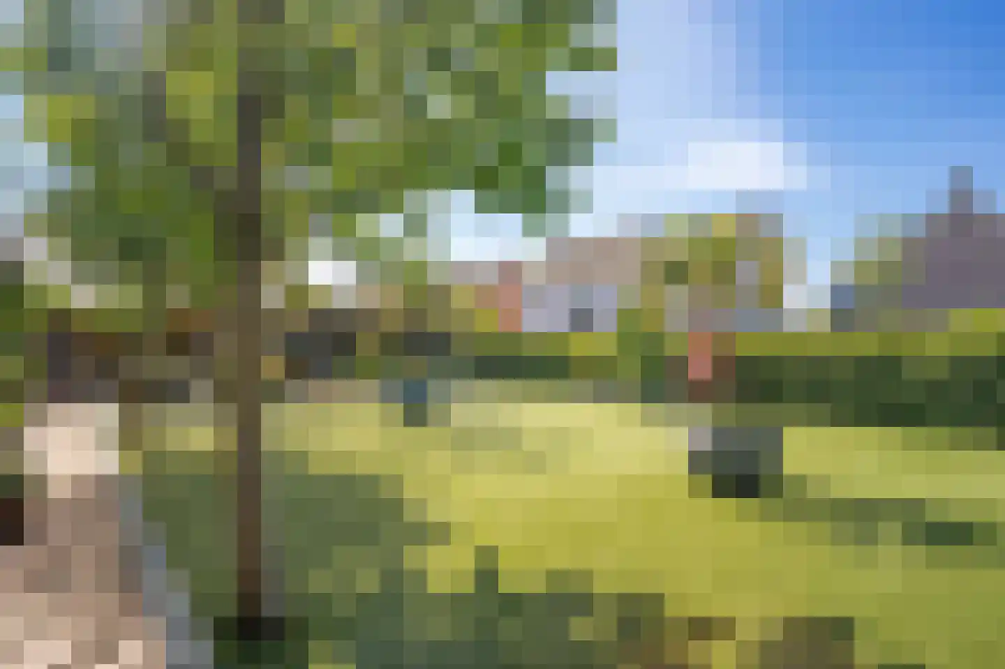 St.-Annastraat 1 Gemert thumbnail 31