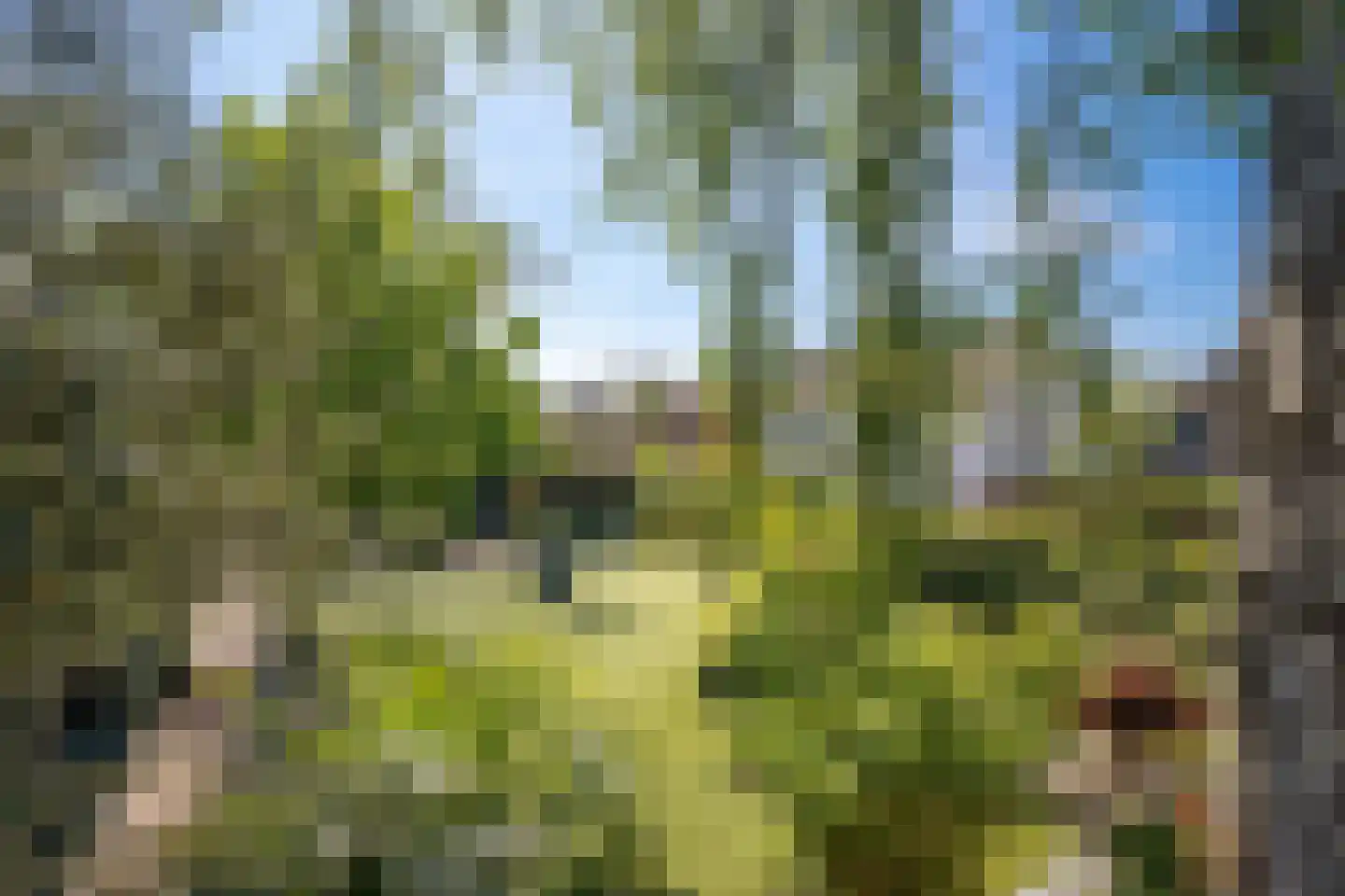 St.-Annastraat 1 Gemert thumbnail 33