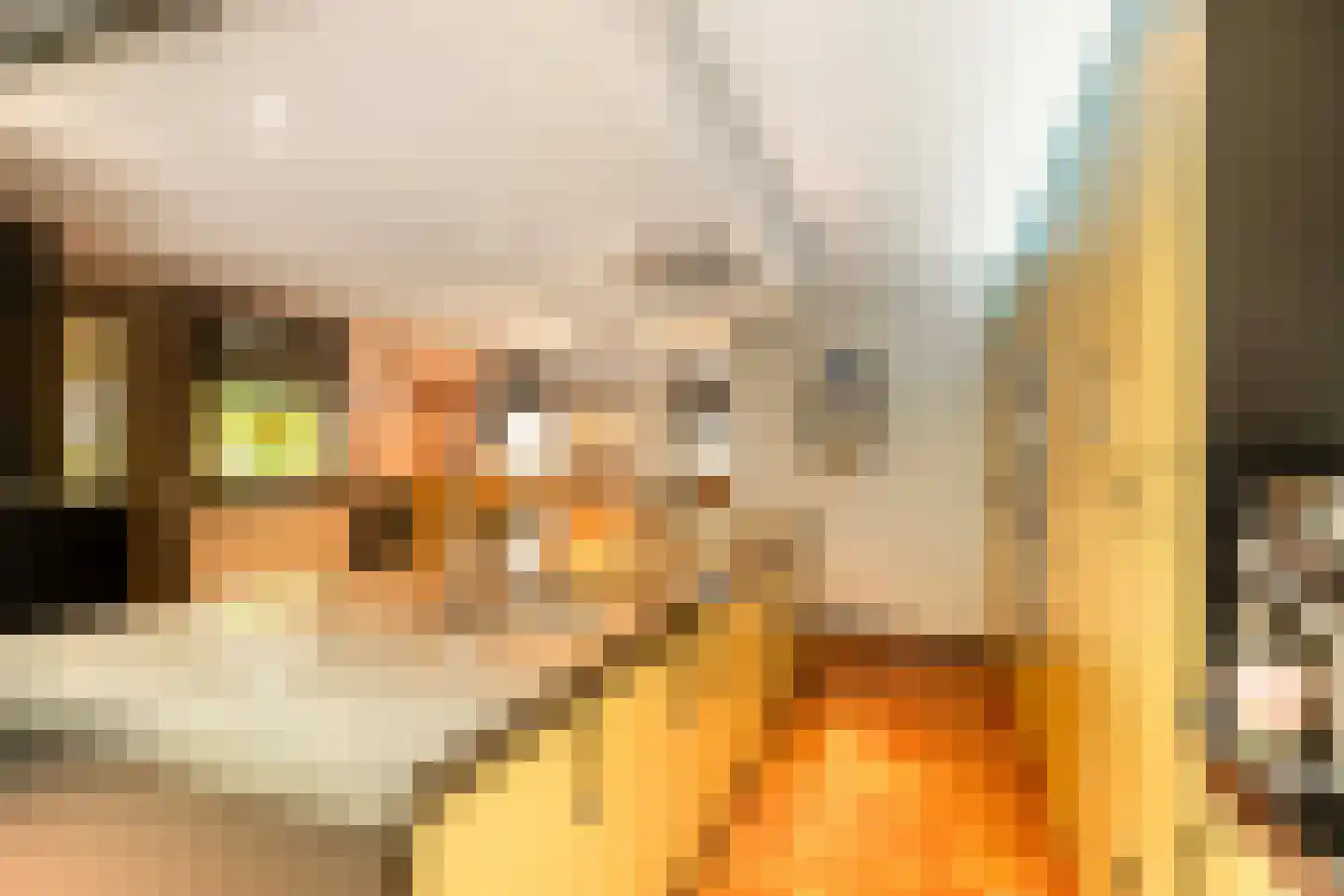 St.-Annastraat 1 Gemert thumbnail 4