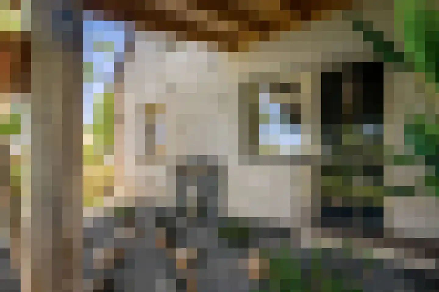 St.-Annastraat 1 Gemert thumbnail 40