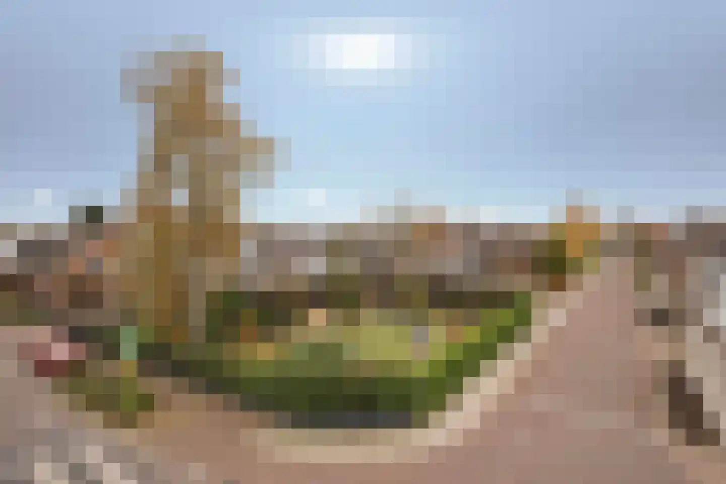 St.-Annastraat 1 Gemert thumbnail 41
