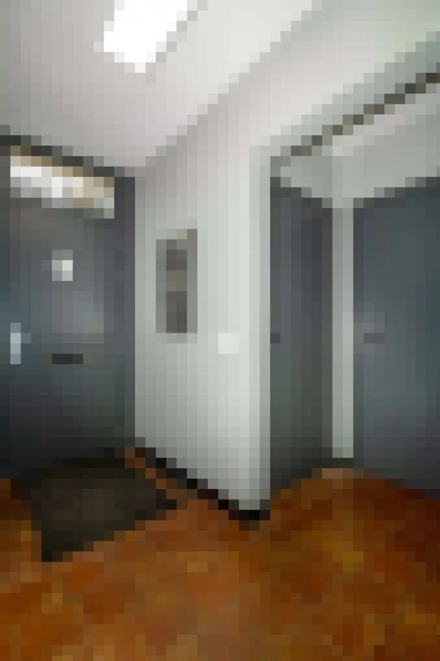 St.-Annastraat 1 Gemert thumbnail 5