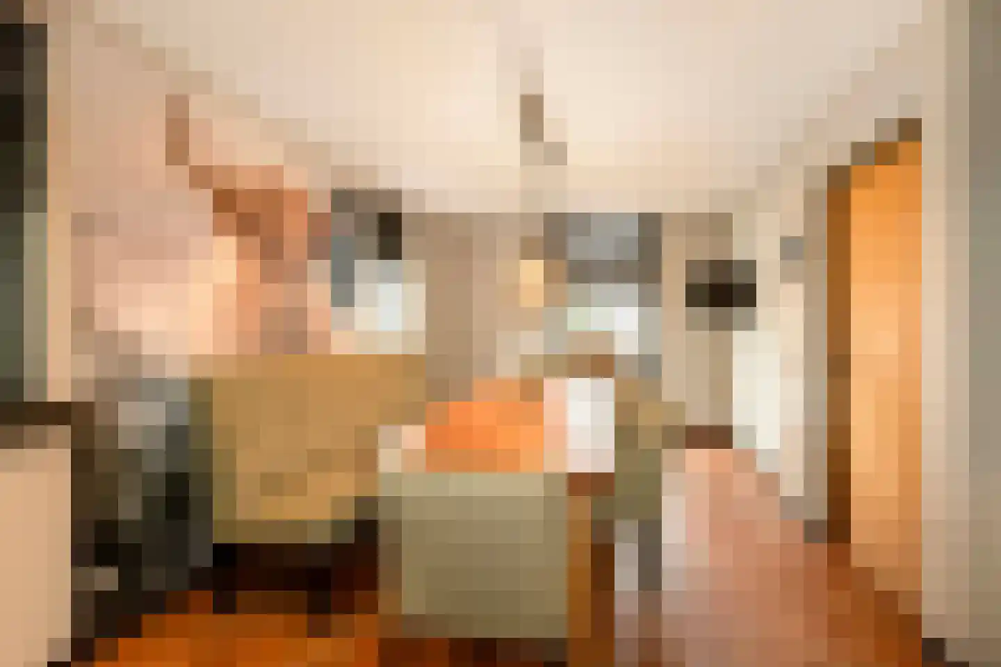 St.-Annastraat 1 Gemert thumbnail 7