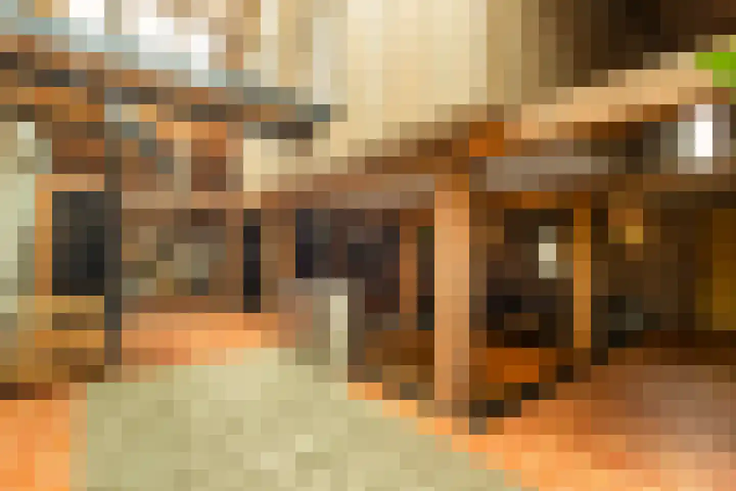 St.-Annastraat 1 Gemert thumbnail 8