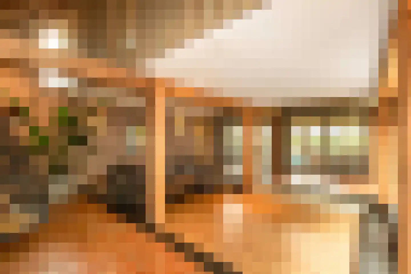 St.-Annastraat 1 Gemert thumbnail 9