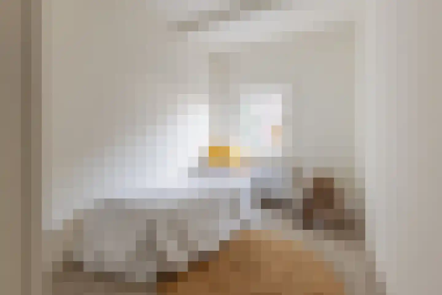 St. Annastraat 1 Naarden thumbnail 12