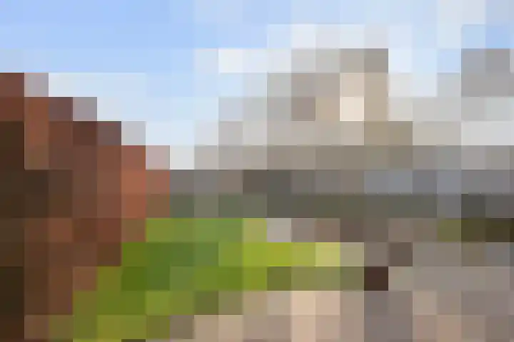 St Annastraat 1 Zevenaar thumbnail 19