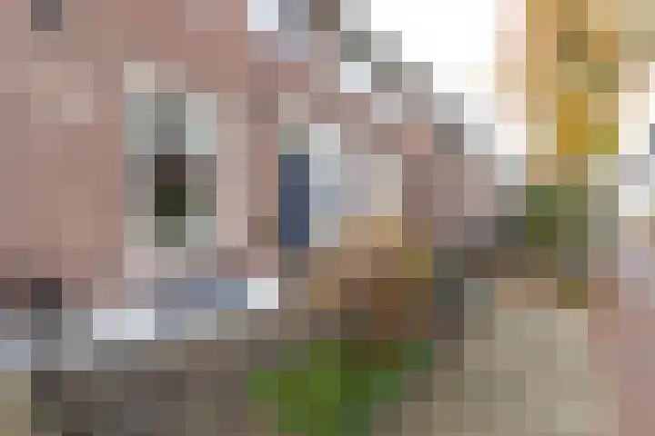 St. Annastraat 16 Hilversum thumbnail 26