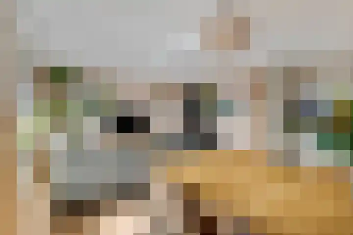 St. Annastraat 186 B Nijmegen thumbnail 13