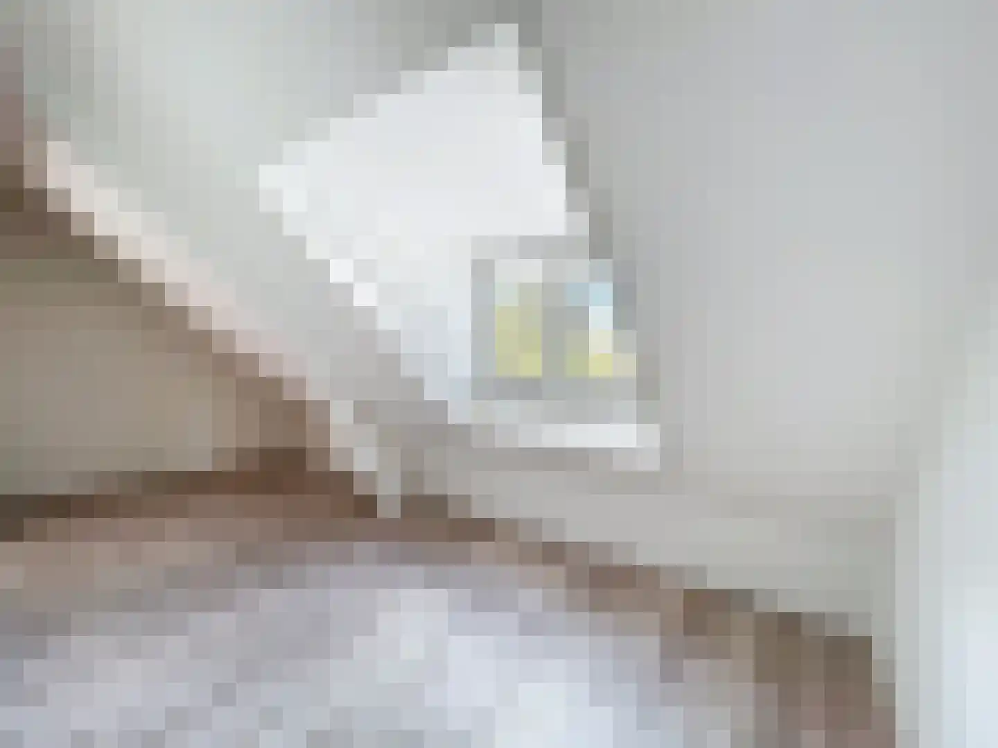 St. Annastraat 20 Sluis thumbnail 23