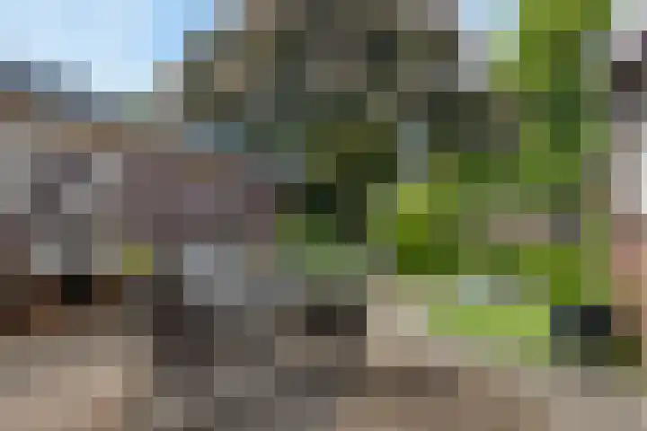 St. Annastraat 22 Helden thumbnail 29