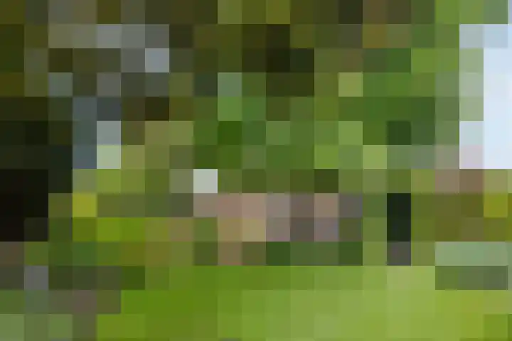 St. Annastraat 22 Helden thumbnail 32