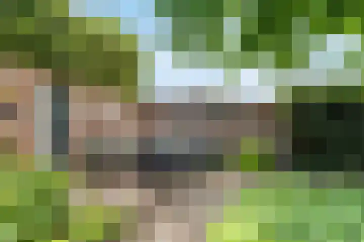 St. Annastraat 22 Helden thumbnail 35