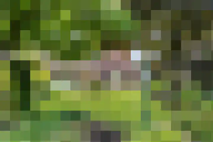 St. Annastraat 22 Helden thumbnail 36