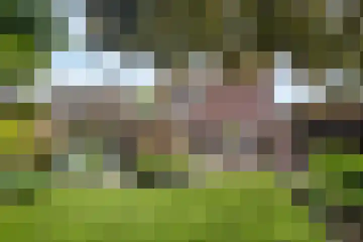 St. Annastraat 22 Helden thumbnail 37
