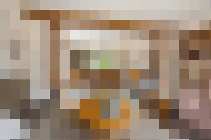 St. Annastraat 22 Helden thumbnail 4