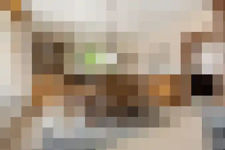St. Annastraat 22 Helden thumbnail 5