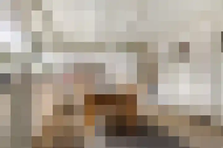 St. Annastraat 22 Helden thumbnail 8