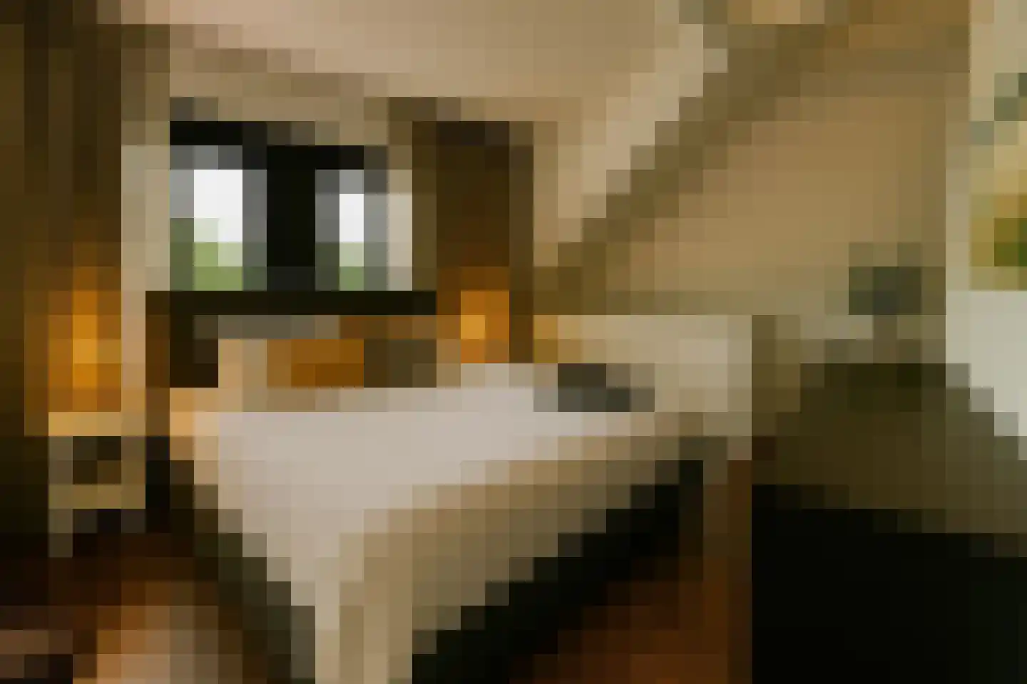 St. Annastraat 24 Sluis thumbnail 10
