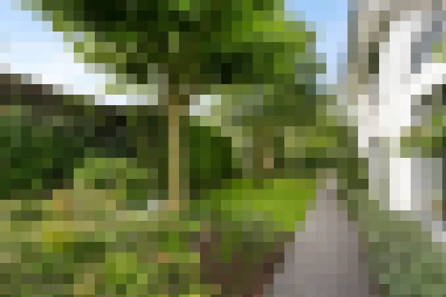 St. Annastraat 42 Sluis thumbnail 27