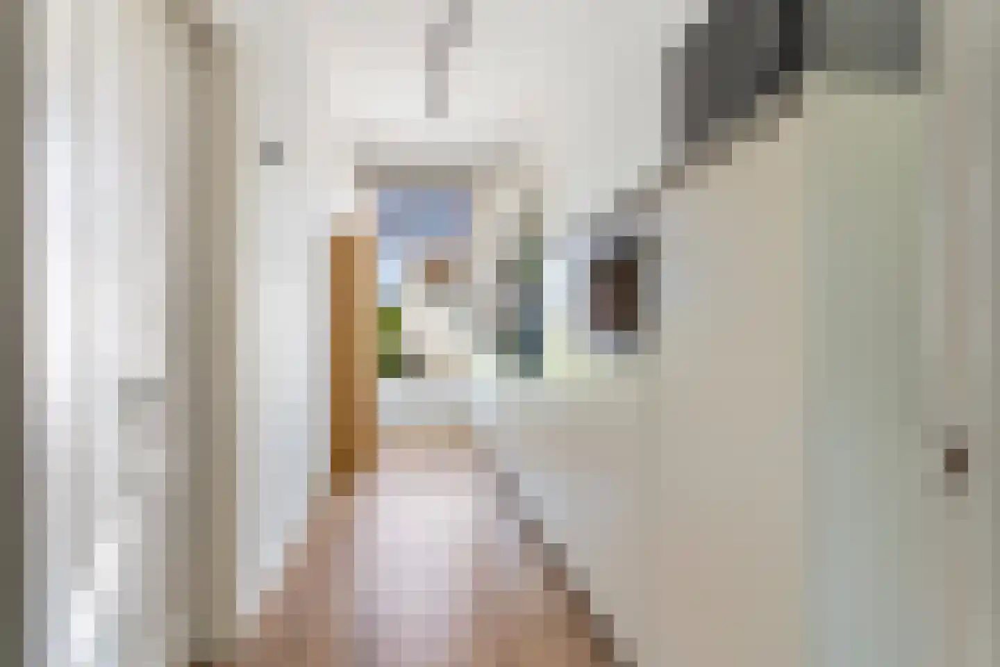 St. Annastraat 43 A Nijmegen thumbnail 4