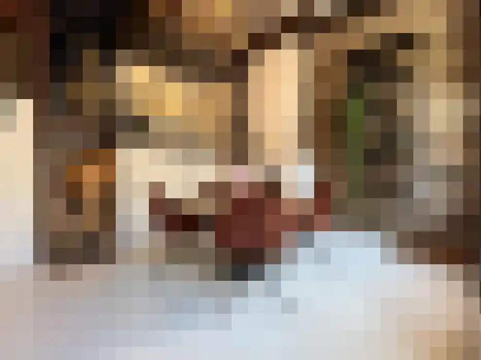 St. Annastraat 5 Breda thumbnail 4