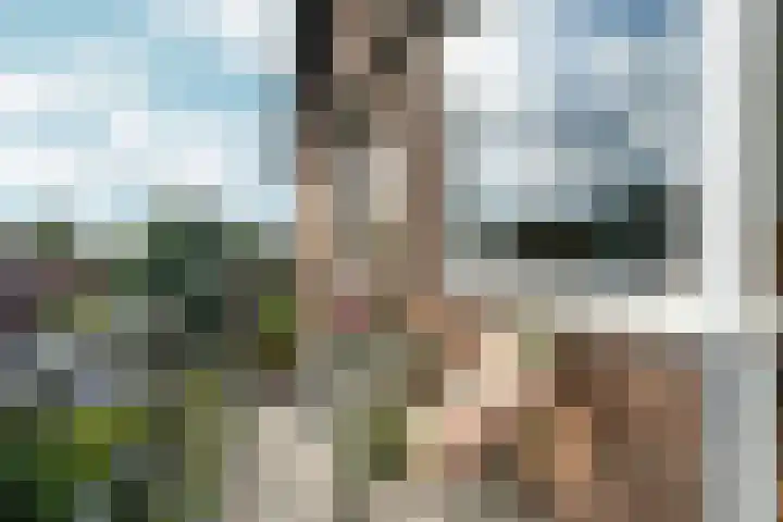 St. Annastraat 542 Nijmegen thumbnail 16
