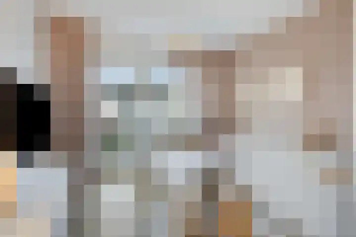 St. Annastraat 544 Nijmegen foto 2