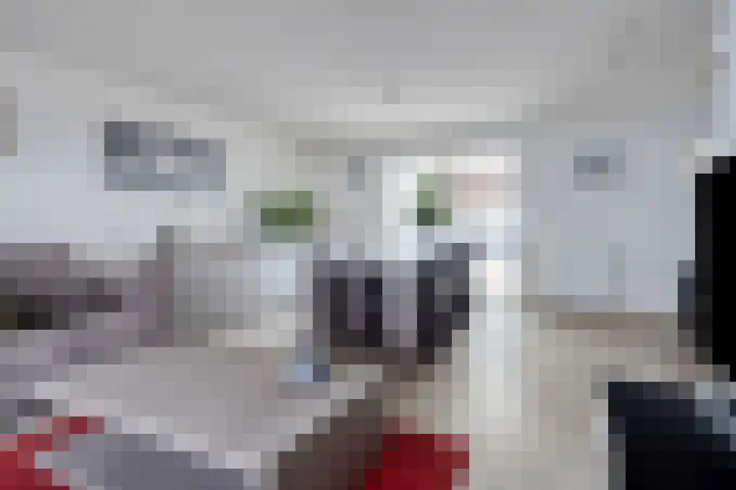 St. Annastraat 9 Terneuzen thumbnail 5
