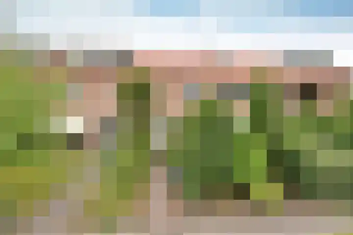 St. Annepad 39 dans Loosdrecht