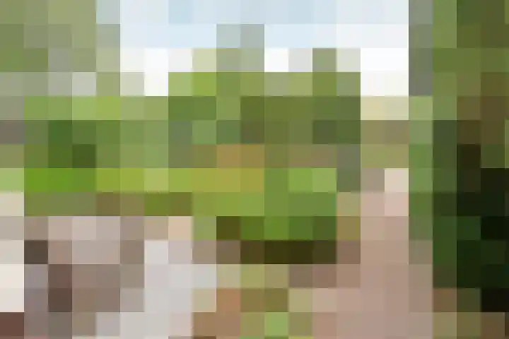 St. Annepad 39 Loosdrecht thumbnail 17
