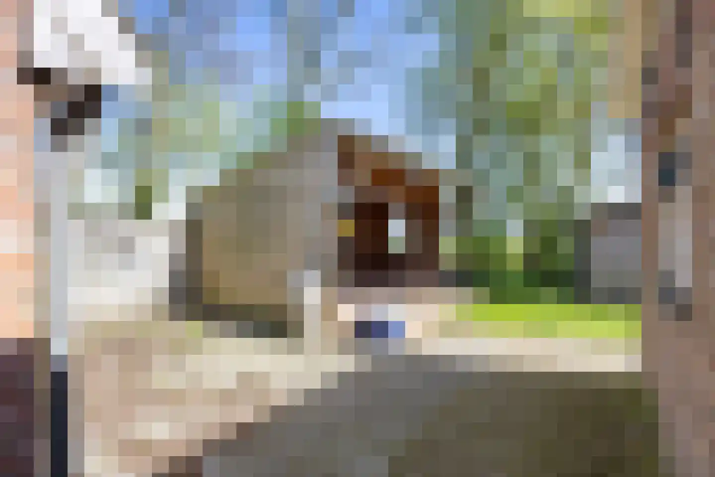 St Annerweg 18 Bedum thumbnail 39