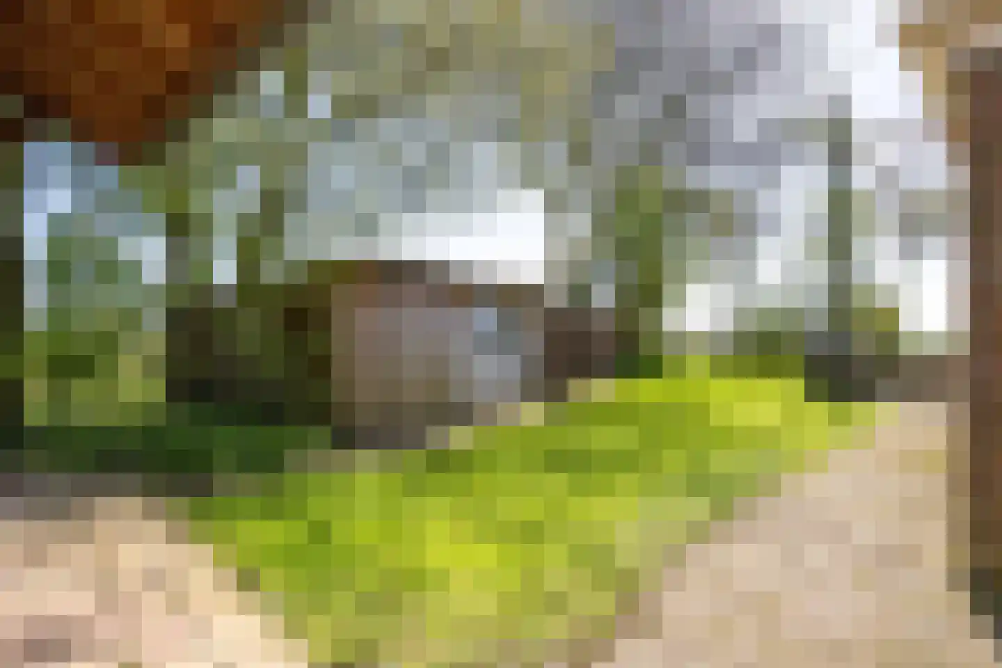 St Annerweg 18 Bedum thumbnail 40