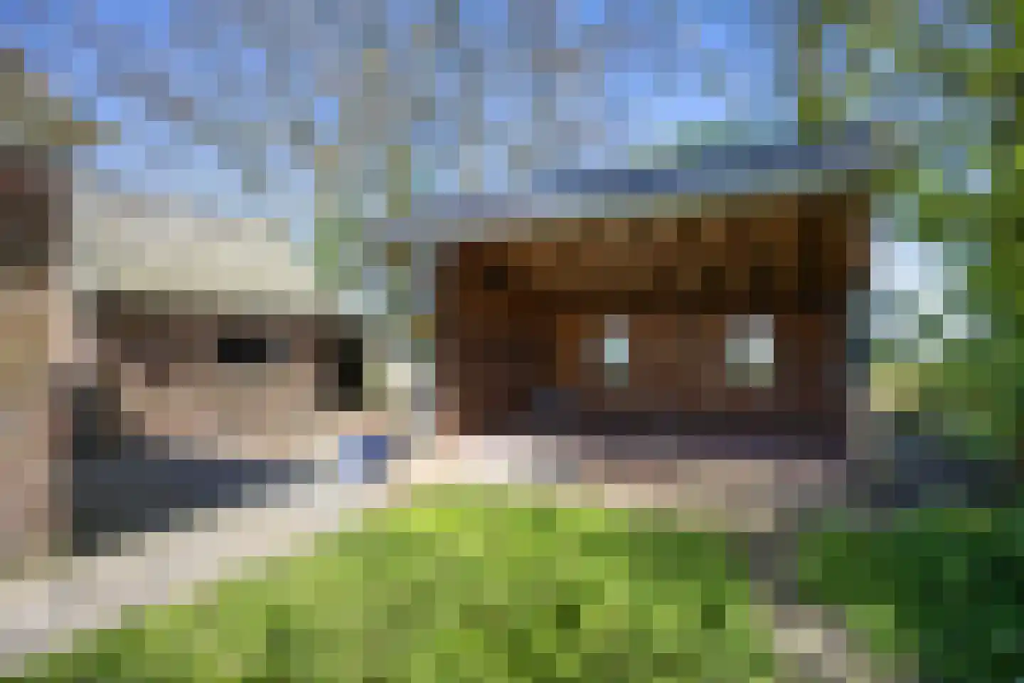 St Annerweg 18 Bedum thumbnail 41
