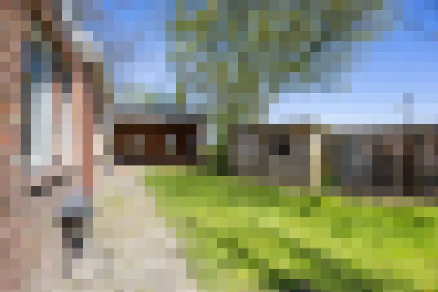 St Annerweg 18 Bedum thumbnail 44