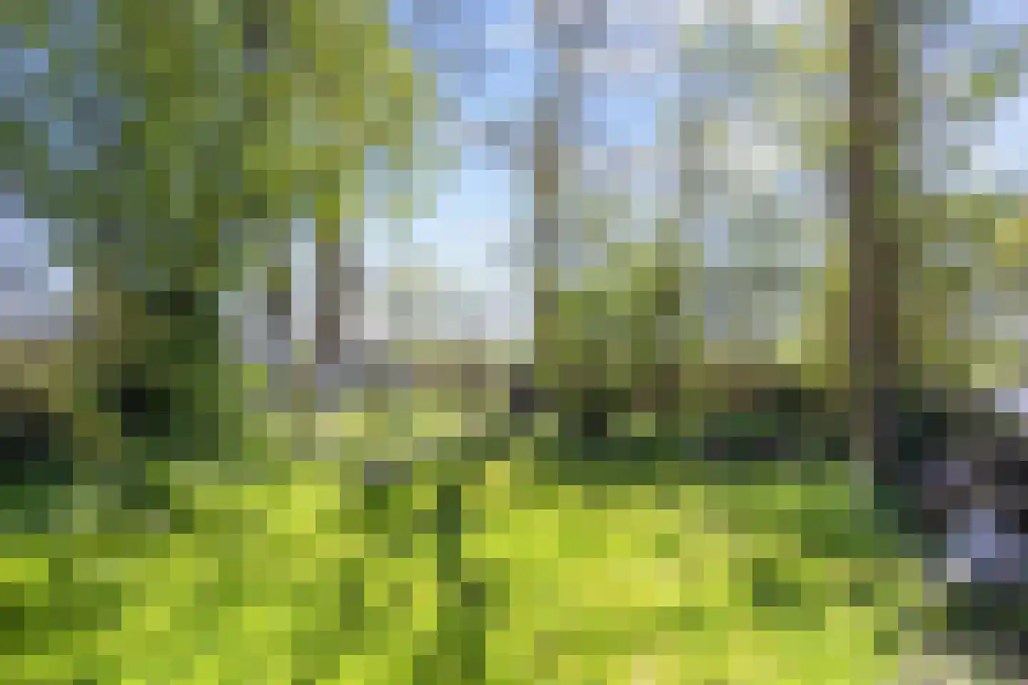 St Annerweg 18 Bedum thumbnail 46