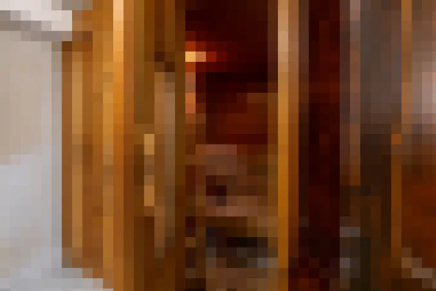 St.-Anthoniedijk 107 Utrecht thumbnail 31