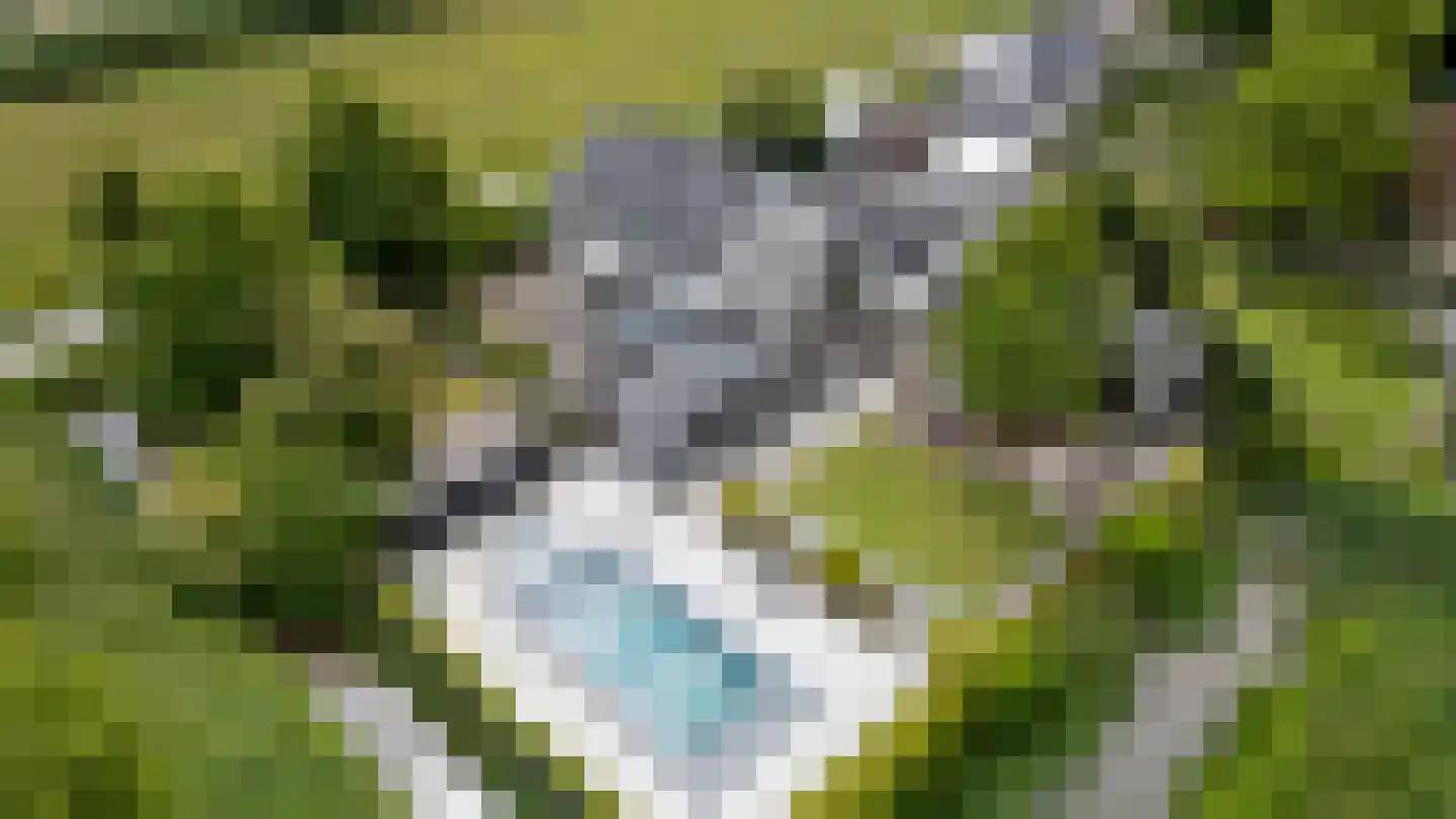St.-Anthoniedijk 107 Utrecht thumbnail 4